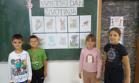 Slika